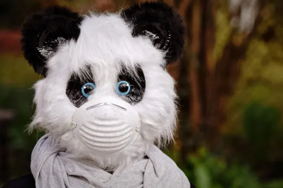 Casino of Dreams Podrška